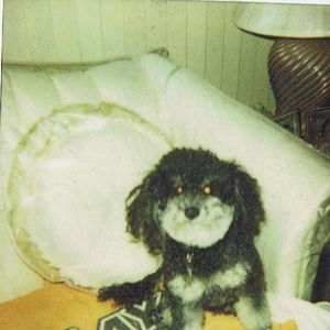 Meet your Posher, Brenda